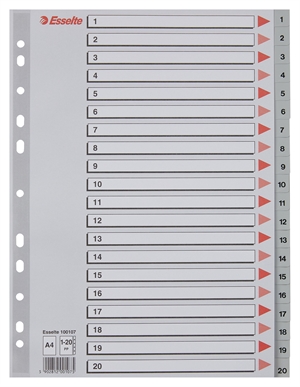 Esselte Register PP A4 1-20 gray