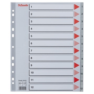 Esselte Register PP A4 maxi 1-12 gray.