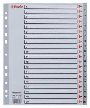 Esselte Register PP A4 maxi 1-20 gray