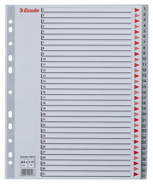 Esselte Register PP A4 maxi 1-31 gray