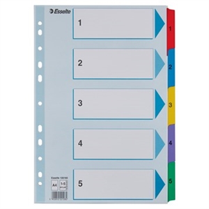 Esselte Register Mylar card A4 1-5
